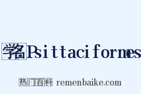 学名：Psittaciformes是什么意思的图片